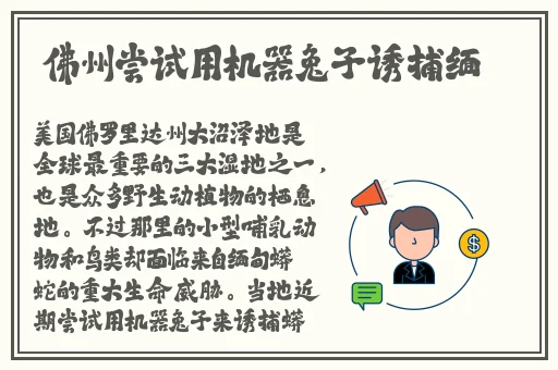 双人床上拔萝卜又痛又叫